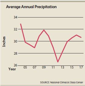 Avg-Precipitation