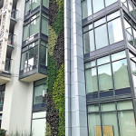 Vancouver, B.C. High-Rise Features a Plant Covered “Green Wall”